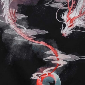 Kimono dragon japonais pour homme — Kumo vue 3
